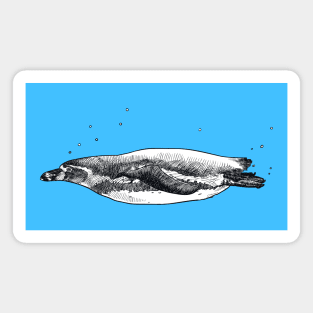 Drawing of a swiming penguin Magnet